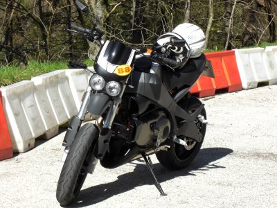 sappul - Bild 2