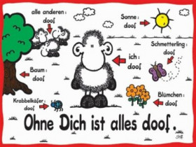Franky_FX - Bild 2