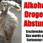 DjWildDog - Bild 8