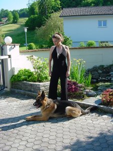 Sinistra - Bild 3