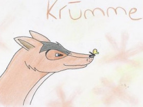 Cael - Bild 5