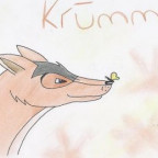 Cael - Bild 5