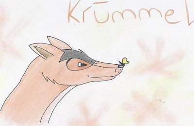 Cael - Bild 5