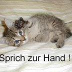 Kleine_1984 - Bild 4
