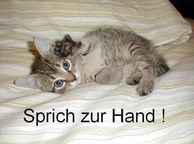 Kleine_1984 - Bild 4