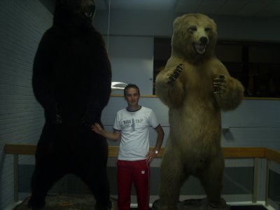 p-ll-u-m-i - Bild 2