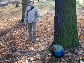 Wilkus - Bild 1