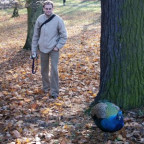 Wilkus - Bild 1