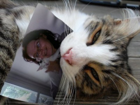 SweetysTropi - Bild 3