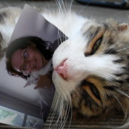 SweetysTropi - Bild 3