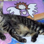 LittleMau17 - Bild 3