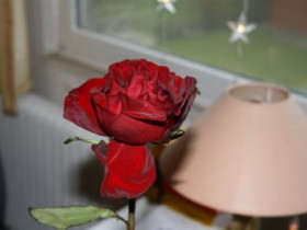 dasche4ka - Bild 4