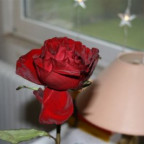 dasche4ka - Bild 4