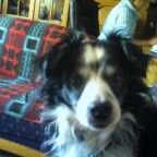 auraball - Bild 2