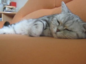 Anastasia_T - Bild 6
