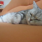 Anastasia_T - Bild 6
