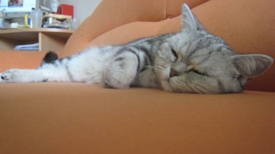 Anastasia_T - Bild 6
