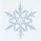 SnowSmile - Bild 2