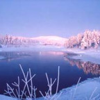 midnightsun - Bild 4