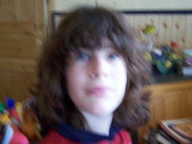 schaf1 - Bild 1