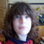 schaf1 - Bild 1