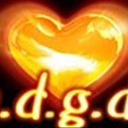 Nevio-Star1 - Bild 5