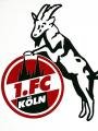 Black_Magic - Bild 3