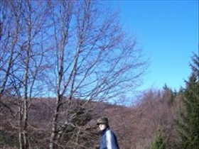 Christian85 - Bild 3