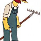 Hausmeister - Bild 1