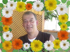 repelen - Bild 3