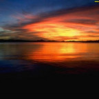 Nevio_Fan13 - Bild 4