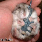 sNk - Bild 3