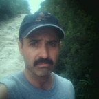 gemex - Bild 1