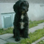 manuela-70 - Bild 3