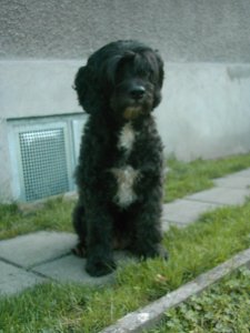 manuela-70 - Bild 3