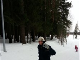 vikar - Bild 1