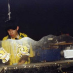 DjWildDog - Bild 11