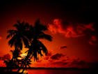 Julie_01 - Bild 2
