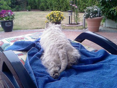 nelly20000 - Bild 3