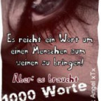 FSL2006 - Bild 4