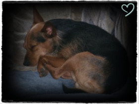 JessyMenowin - Bild 9