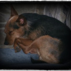 JessyMenowin - Bild 9