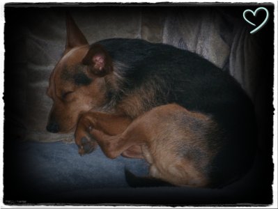 JessyMenowin - Bild 9
