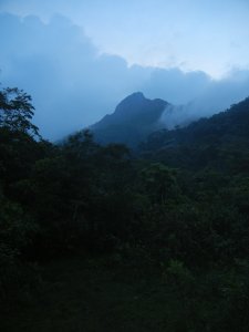 etoeto - Bild 6