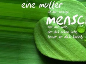 Aref - Bild 7
