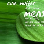 Aref - Bild 7