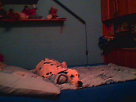 Dragons_Cheerleader - Bild 6