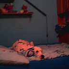 Dragons_Cheerleader - Bild 6