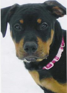 Sw33tBaby - Bild 7