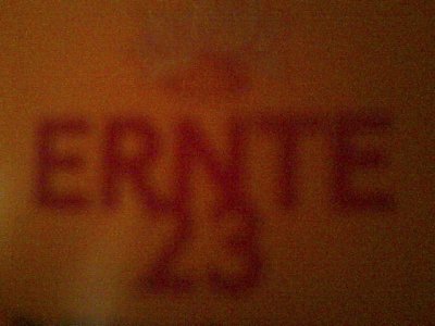 MrMuff - Bild 3